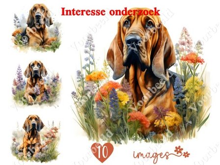 Diamond Painting interesse onderzoek