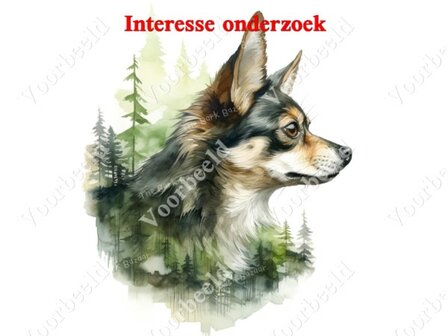 Diamond Painting interesse onderzoek