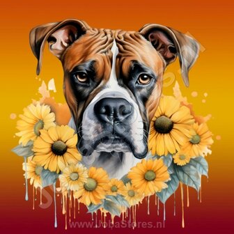 Diamond Painting Boxer met zonnebloemen