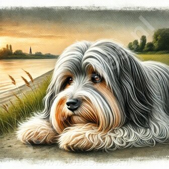 Diamond Painting Havanese