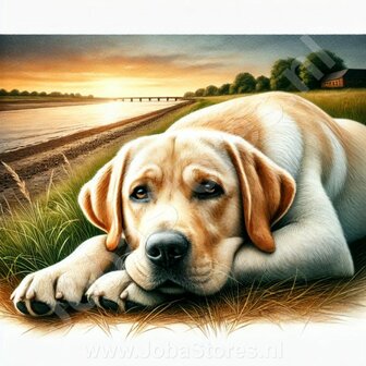 Diamond Painting Golden Retriever Blonde