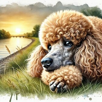 Diamond Painting Poodle