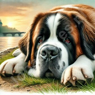 Diamond Painting Saint Bernard