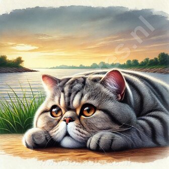 Diamond Painting Lying Cat - Exotic Shorthair