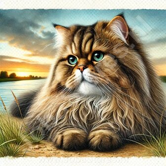 Diamond Painting Lying Cat - Exotic Longhair