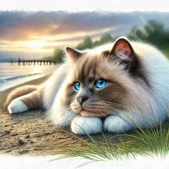 Diamond Painting Lying Cat Sacred Birman