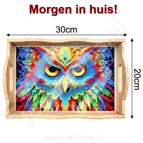 Diamond Painting Wooden Tray 05 Owl (20x30cm)