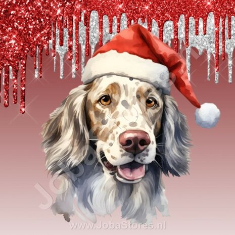 Diamond Painting Ierse Setter met Kerstmuts