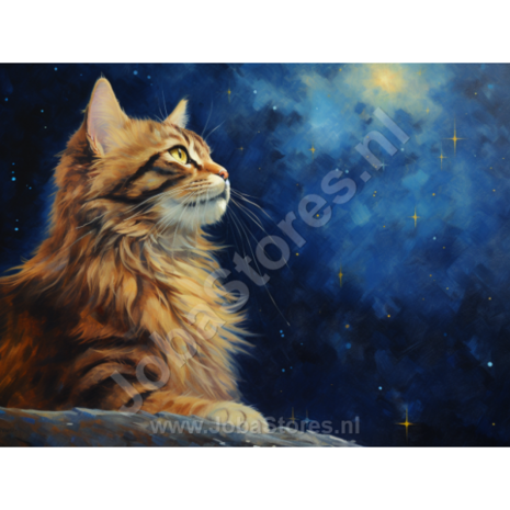 Diamond Painting Sterrennacht Kat 