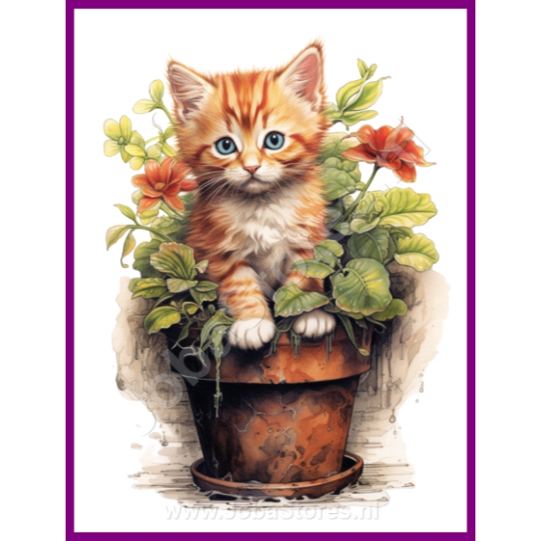 Diamond Painting JobaStores® Kittens-Big Cats 30x40cm - Shop now