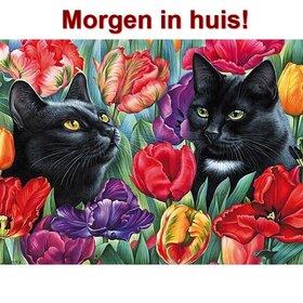 Diamond Painting JobaStores® Kittens-Big Cats 30x40cm - Shop now -  JobaStores